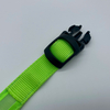 LED Collar01 Family Pets Prevent Loss Easy To Find USB Charging Custom Size with Logo Custom Waterproof Luminous Dog Collar