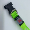 LED Collar01 Family Pets Prevent Loss Easy To Find USB Charging Custom Size with Logo Custom Waterproof Luminous Dog Collar