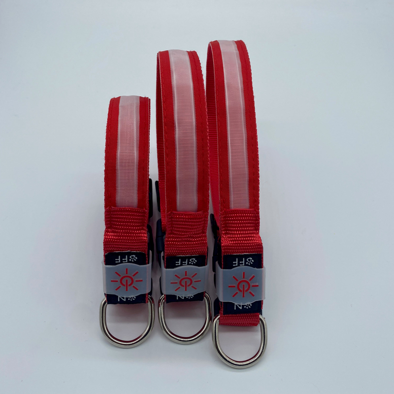 LED Collar01 Family Pets Prevent Loss Easy To Find USB Charging Custom Size with Logo Custom Waterproof Luminous Dog Collar