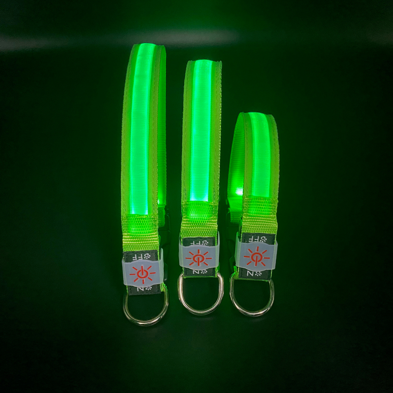LED Collar01 New Rechargeable Waterproof Home Pet Prevention Led Pet Collar