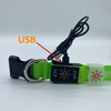LED Collar01 Prevention of Danger Prevention of Loss USB Charging Mode Repeated Use Not Afraid of Water Special Led Collar for Pets