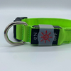 LED Collar01 led collar led dog collar led collar dog dog collar led dog led collar led pet collar collar led