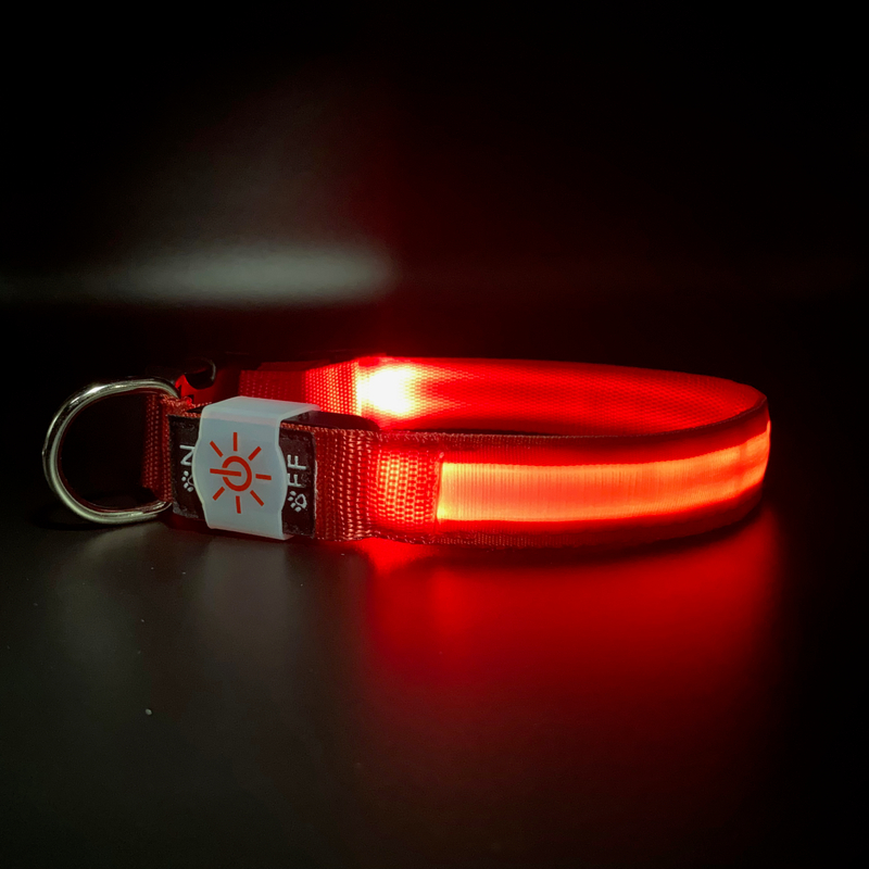 LED Collar01 Factory Best-selling Household Pet Supplies To Prevent Lost Can Be Rechargeable Waterproof Led Dog Collar