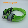 LED Collar01 Prevention of Danger Prevention of Loss USB Charging Mode Repeated Use Not Afraid of Water Special Led Collar for Pets