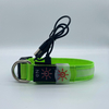 LED Collar01 Prevention of Danger Prevention of Loss USB Charging Mode Repeated Use Not Afraid of Water Special Led Collar for Pets