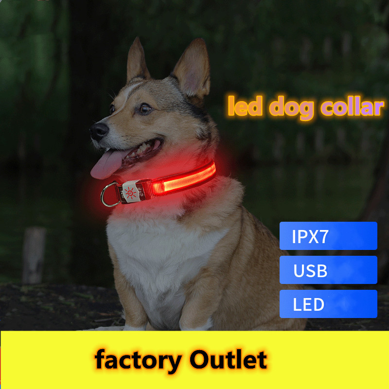 LED Collar01 Factory Direct 2022 New Pet-specific Usb Charging Waterproof To Prevent Lost Night Luminous Led Collar