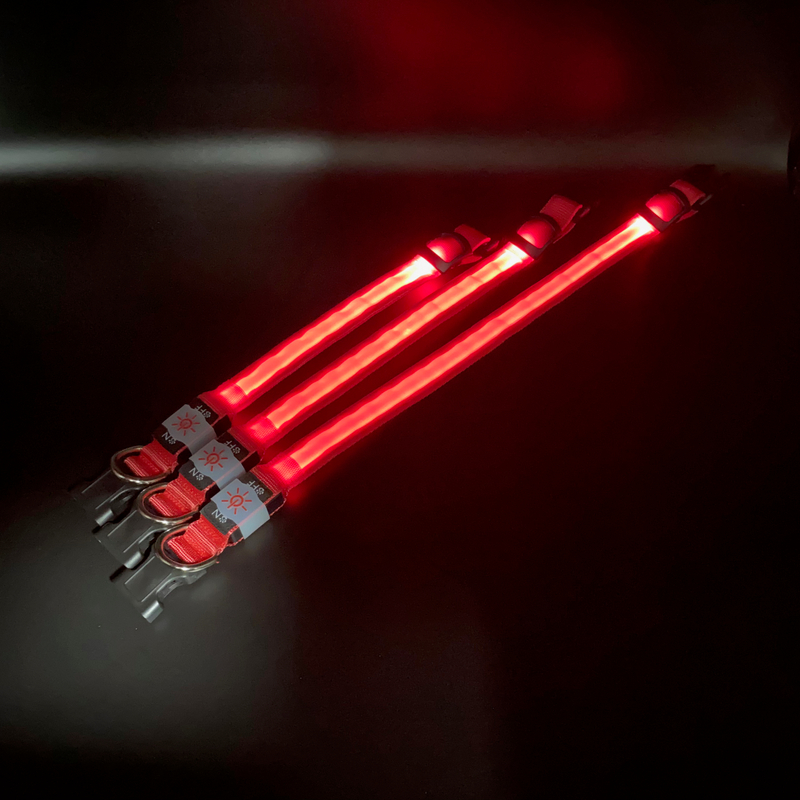 LED Collar01 led collar led dog collar led collar dog dog collar led dog led collar led pet collar collar led