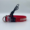 LED Collar01 Factory Direct Sale Household Pet Member Led Waterproof Collar