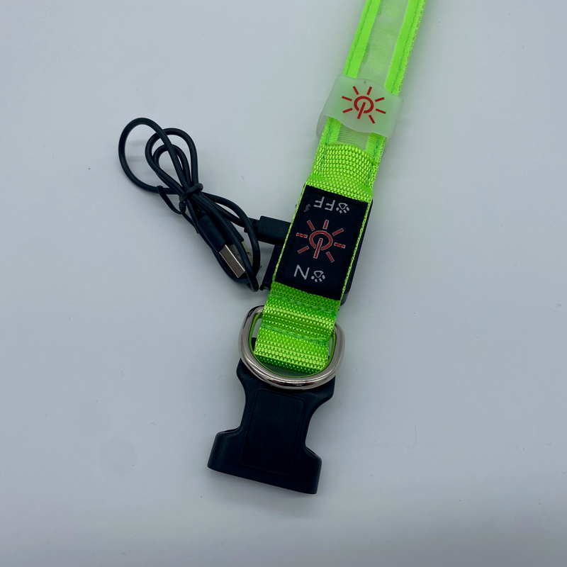 LED Collar01 New Rechargeable Waterproof Home Pet Prevention Led Pet Collar